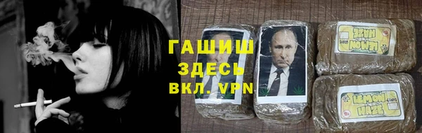 стаф Волоколамск