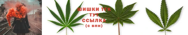 трава Соликамск