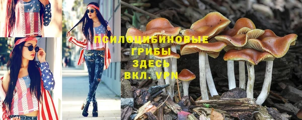 наркотики Баксан