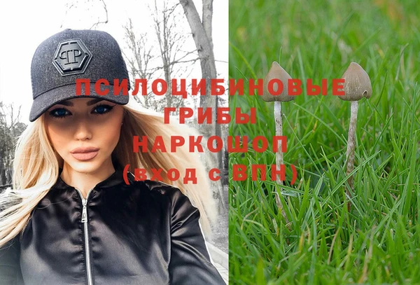 герыч Болхов