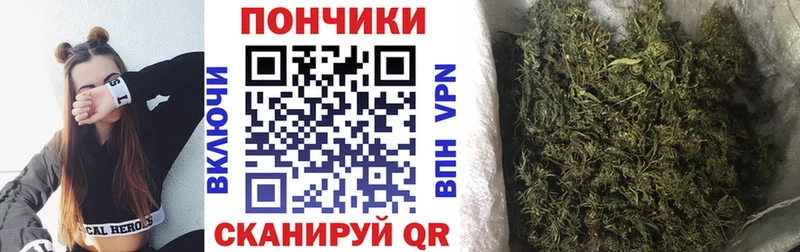 Канабис гибрид  Краснообск 